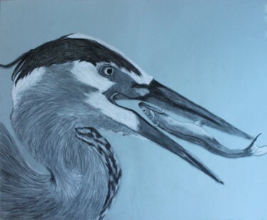 Painting titled "Heron with Fish" by Elke Matthaeus, Original Artwork, Pastel