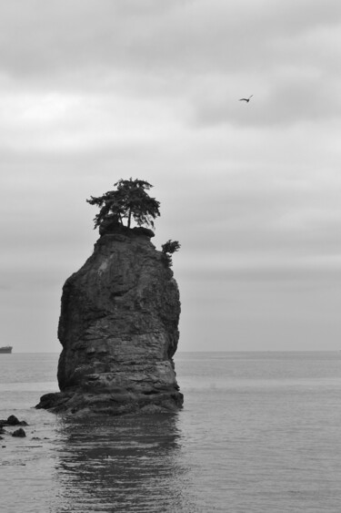 Photography titled "Siwash Rock" by Elke Matthaeus, Original Artwork