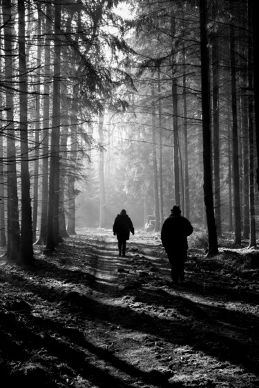 Photographie intitulée "Winter Stroll" par Elke Matthaeus, Œuvre d'art originale