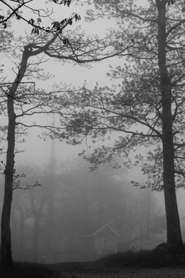 Photography titled "Fog in the Mountains" by Elke Matthaeus, Original Artwork