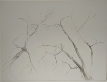 Malarstwo zatytułowany „tree20” autorstwa Ella Barsky, Oryginalna praca, Olej