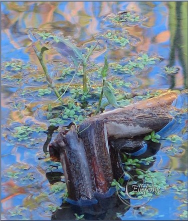 Photographie intitulée "nature-d-eau-art-ma…" par Ellefenix, Œuvre d'art originale