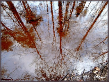 Photographie intitulée "arbres-dans-l-eau.j…" par Ellefenix, Œuvre d'art originale