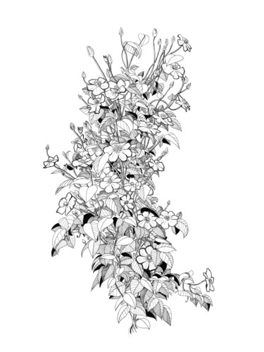 Рисунок под названием "Bloom" - Ellie Tea, Подлинное произведение искусства, Чернила