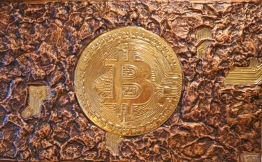 雕塑 标题为“Treasure Bitcoin” 由Elmar Gerald Arneitz, 原创艺术品, 金属