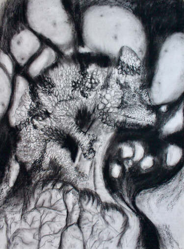 Рисунок под названием "Chameleon" - Elmira Sharipova, Подлинное произведение искусства, Древесный уголь