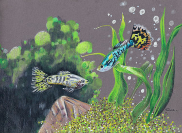 Dessin intitulée "Males guppys nagent…" par Elodie Verbeke, Œuvre d'art originale, Crayon