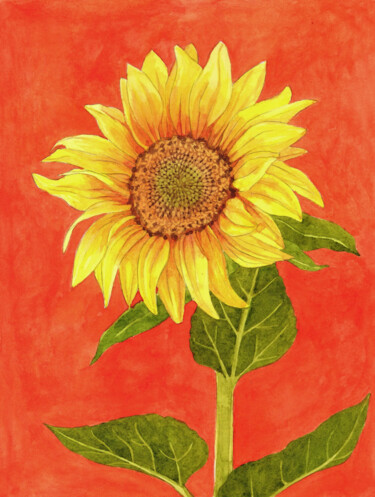 Painting titled "Tournesol" by Elodie Bougeois, Original Artwork, Watercolor