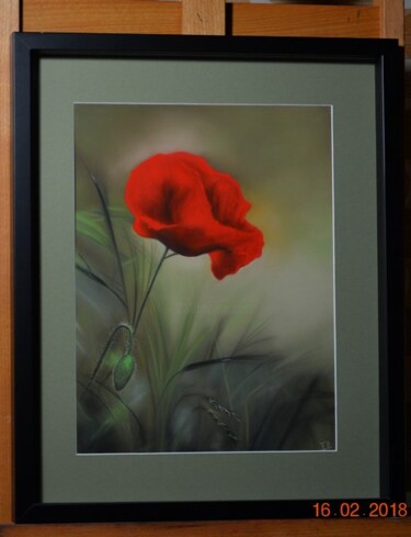 Pittura intitolato "Coquelicot" da Elodie Rabieczynski, Opera d'arte originale, Pastello