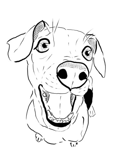 Drawing titled "Niké the dog" by Els Devrieze, Original Artwork, 2D Digital Work