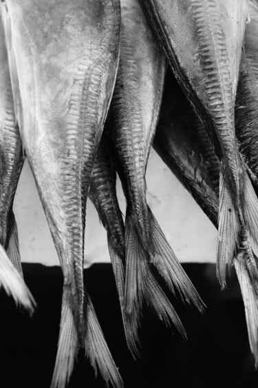 Photography titled "Fishtails" by Els Devrieze, Original Artwork, Digital Photography