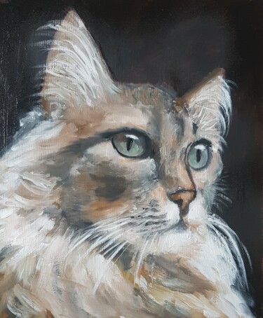 Painting titled "Maine coon cat" by Els Driesen, Original Artwork, Oil