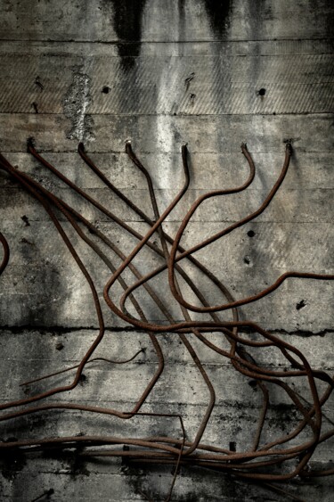 Фотография под названием "Entangled" - Elsa Lunghini, Подлинное произведение искусства, Цифровая фотография Установлен на Ал…