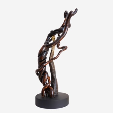 Sculpture titled "Alegoría del Alma I" by Elsa Muñoz, Original Artwork, Bronze