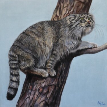 Tekening getiteld "Wild cat, Pallas cat" door Elena Ushanova, Origineel Kunstwerk, Pastel