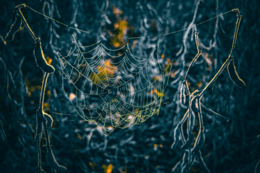 Fotografía titulada "Toile d'araignée" por Elvina Minjacq, Obra de arte original, Fotografía digital