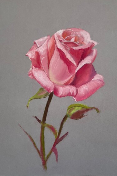 Drawing titled "Rose" by Elvira Kamaletdinova, Original Artwork, Pastel