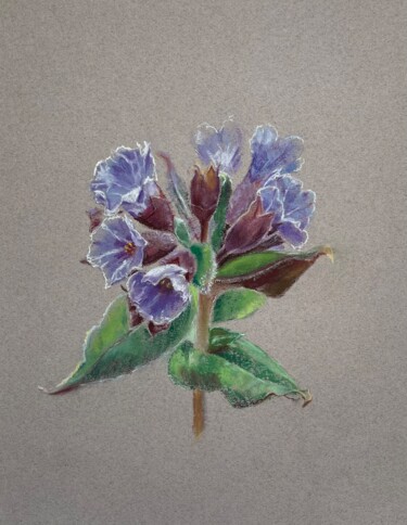 Dibujo titulada "Lungwort - flower o…" por Elvira Kamaletdinova, Obra de arte original, Pastel