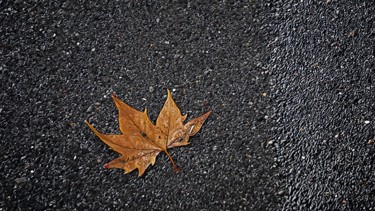 Photographie intitulée "Floating leaf" par Emanuele De Vincenzo, Œuvre d'art originale, Photographie numérique