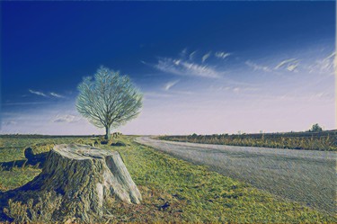 Photographie intitulée "Path of life" par Emanuele De Vincenzo, Œuvre d'art originale, Photographie numérique