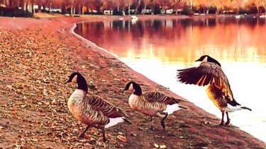 Fotografie getiteld "Walk of the goose" door Emanuele De Vincenzo, Origineel Kunstwerk, Digitale fotografie