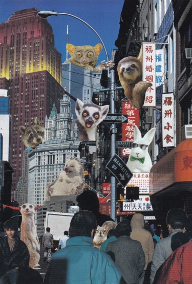 Collages getiteld "Zoo" door Emilie Desault, Origineel Kunstwerk, Collages