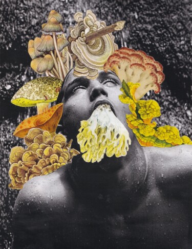 Collages titled "Mushrooms invasion" by Emilie Desault, Original Artwork, Collages