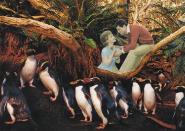 Collages titled "Penguins" by Emilie Desault, Original Artwork, Collages