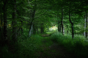 Photographie intitulée "Ce petit chemin..." par Emilie Reydon, Œuvre d'art originale