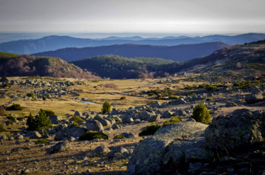 Photography titled "Plaine de l'Aubaret" by Emilie Reydon, Original Artwork