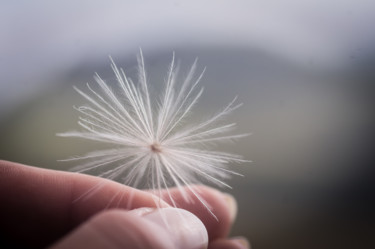 Photographie intitulée "Songe" par Emilie Reydon, Œuvre d'art originale