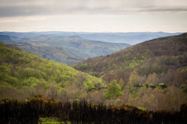 Photography titled "Ebauche de printemps" by Emilie Reydon, Original Artwork