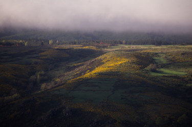 Photographie intitulée "Matin entre Ombre e…" par Emilie Reydon, Œuvre d'art originale