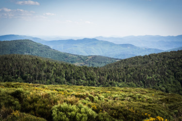 Photographie intitulée "Cevennes" par Emilie Reydon, Œuvre d'art originale