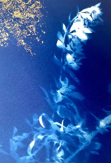Peinture intitulée "Cyanotype Fleurs au…" par Émilie Singy, Œuvre d'art originale, Photographie non manipulée Monté sur Cart…