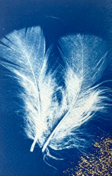 Painting titled "Cyanotype Plumes" by Émilie Singy, Original Artwork, Non Manipulated Photography Mounted on Cardboard
