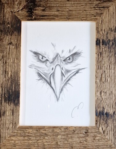 Рисунок под названием "Eagle" - Émilie Zahno, Подлинное произведение искусства, Карандаш Установлен на картон