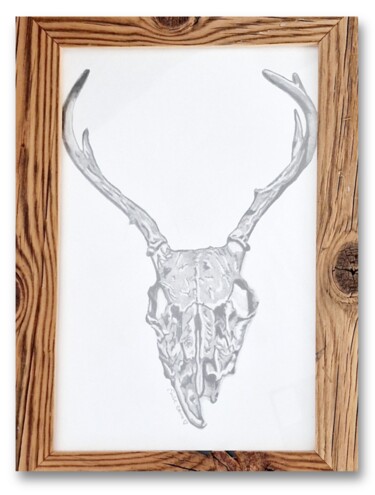 Rysunek zatytułowany „Squelette de buffle” autorstwa Émilie Zahno, Oryginalna praca, Ołówek Zamontowany na Pleksiglas