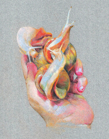 Рисунок под названием "Snails" - Emily Coubard (Mil.), Подлинное произведение искусства, Карандаш