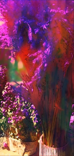 Фотография под названием "Fleurs d'artifice !" - Emma Laflute, Подлинное произведение искусства, Цифровая фотография