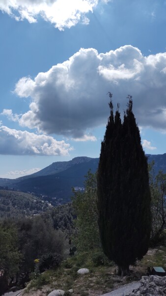 Fotografia intitolato "The cypress" da Emma Laflute, Opera d'arte originale, Fotografia digitale