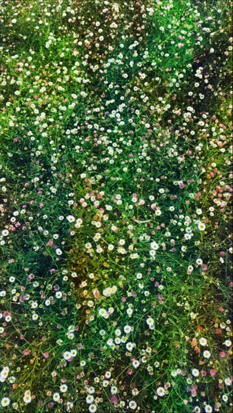 Photographie intitulée "Un tapis de petites…" par Emma Laflute, Œuvre d'art originale, Photographie numérique