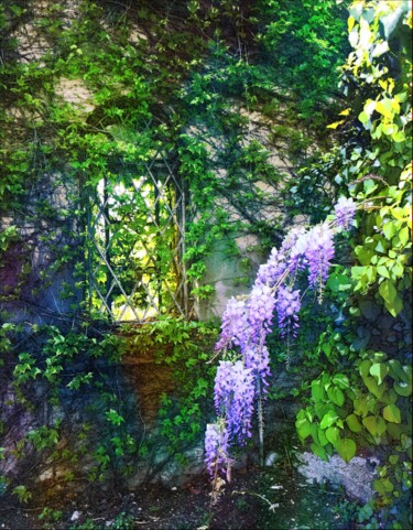 Fotografie mit dem Titel "Les fleurs de glyci…" von Emma Laflute, Original-Kunstwerk, Digitale Fotografie