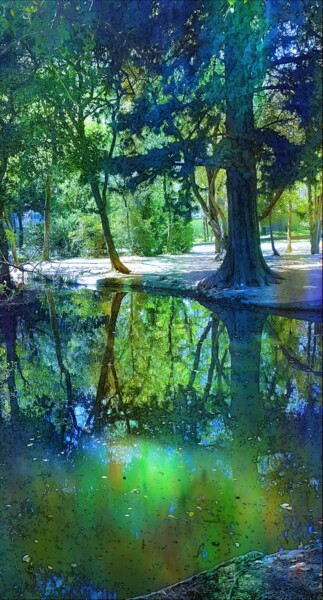 Fotografie getiteld "Reflections in the…" door Emma Laflute, Origineel Kunstwerk, Digitale fotografie