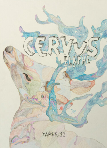 Dessin intitulée "Cervus" par Emma Plesse, Œuvre d'art originale, Crayon