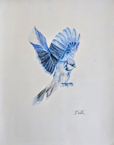 Drawing titled "Oiseau bleu #1" by Emma Plesse, Original Artwork, Pencil