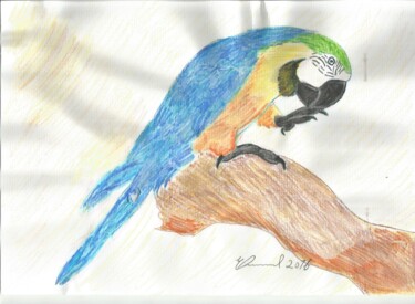 Pintura intitulada "A ave azul Brasil" por Emmanuel Costa, Obras de arte originais, Marcador