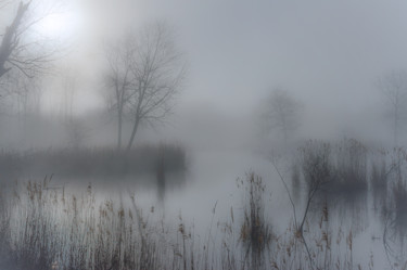 Photography titled "Mist covered swamp." by Emmanuel Raussin, Original Artwork, Digital Photography