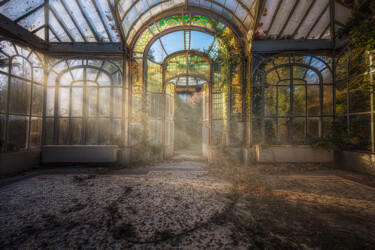 Photography titled "Dans mon jardin d'h…" by Emmanuel Raussin, Original Artwork, Digital Photography