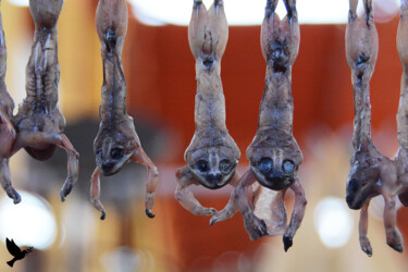 Фотография под названием "cool and food 005" - Emmanuel Jahan, Подлинное произведение искусства, Цифровая фотография